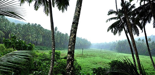 Goa Beach